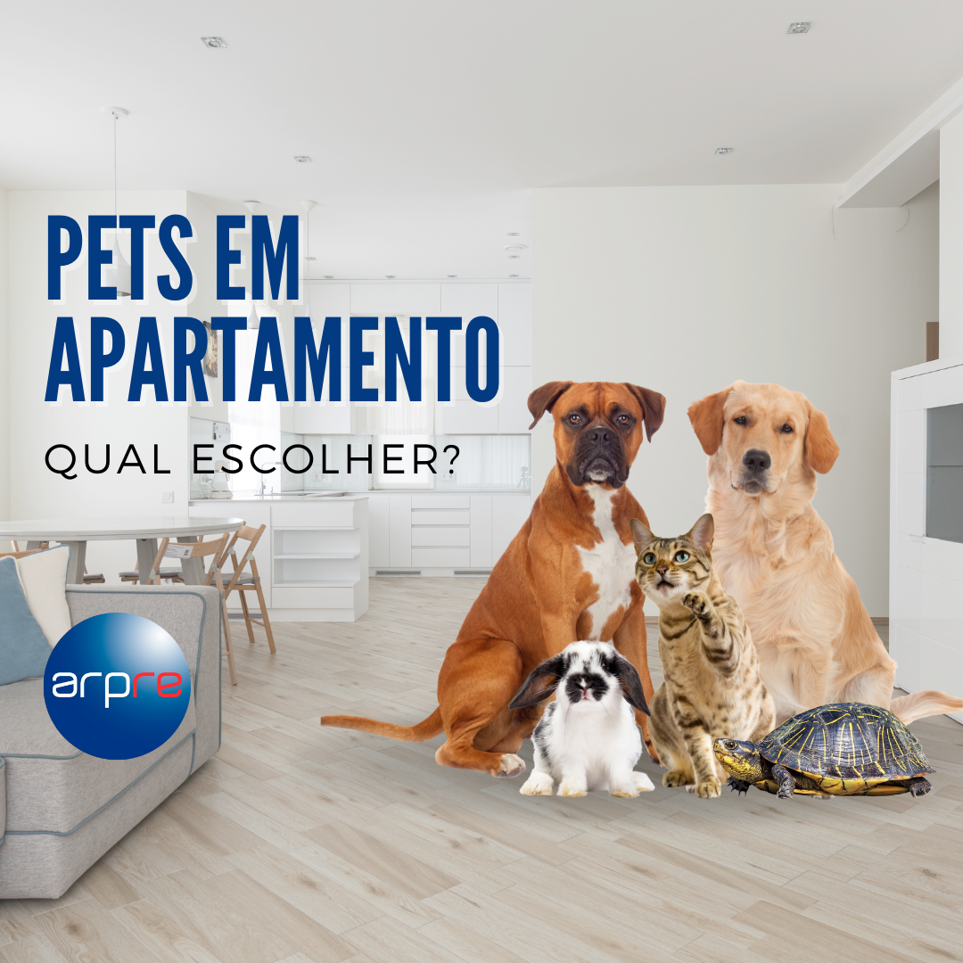 Pets em apartamento