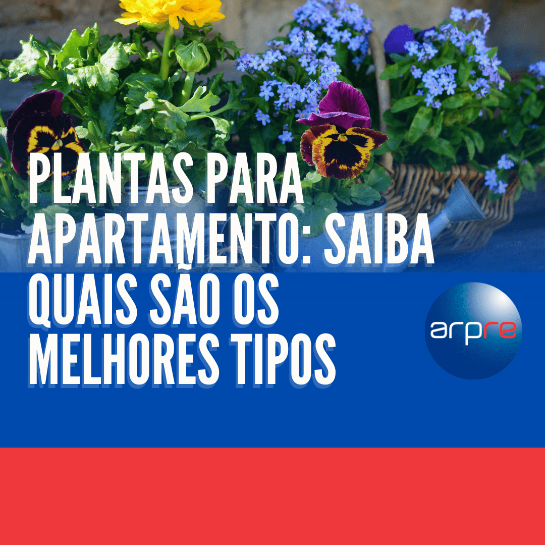 Plantas para apartamento: Saiba quais os melhores tipos