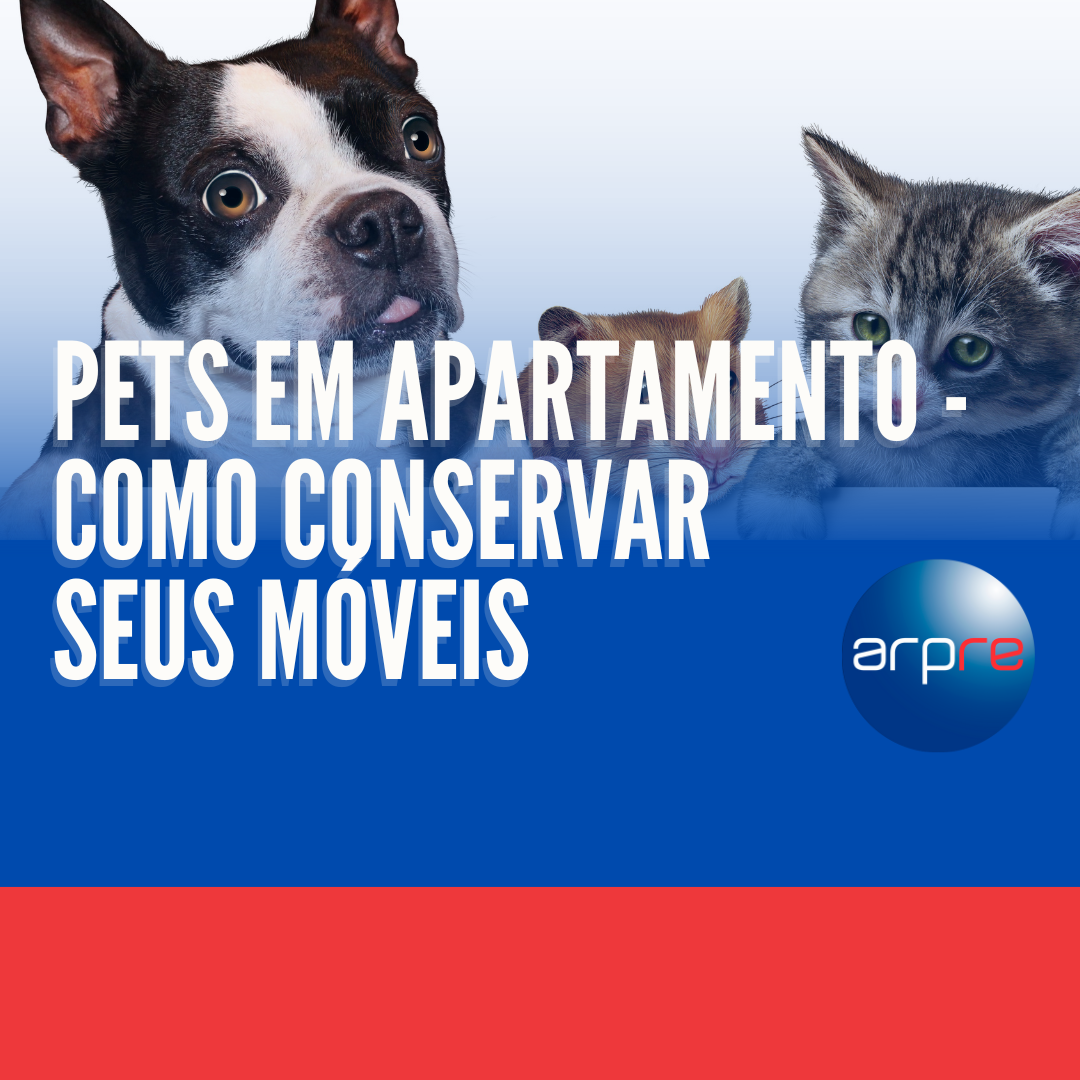 Pets em Apartamento - Como conservar seus móveis