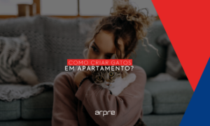 Como criar gatos em apartamento?